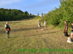 Hundetræning efterår 2015